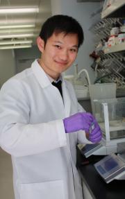KaWingCrop003a