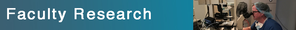 Faculty Research Banner