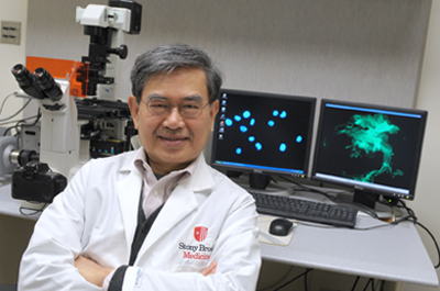Picture of Wen-Tien Chen, PhD