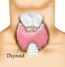 The Thyroid Grand | January Is Thyroid Awareness Month