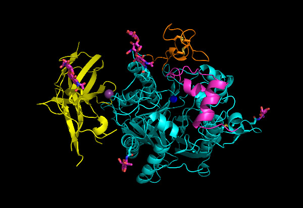 Molecular Biology Visual Structure