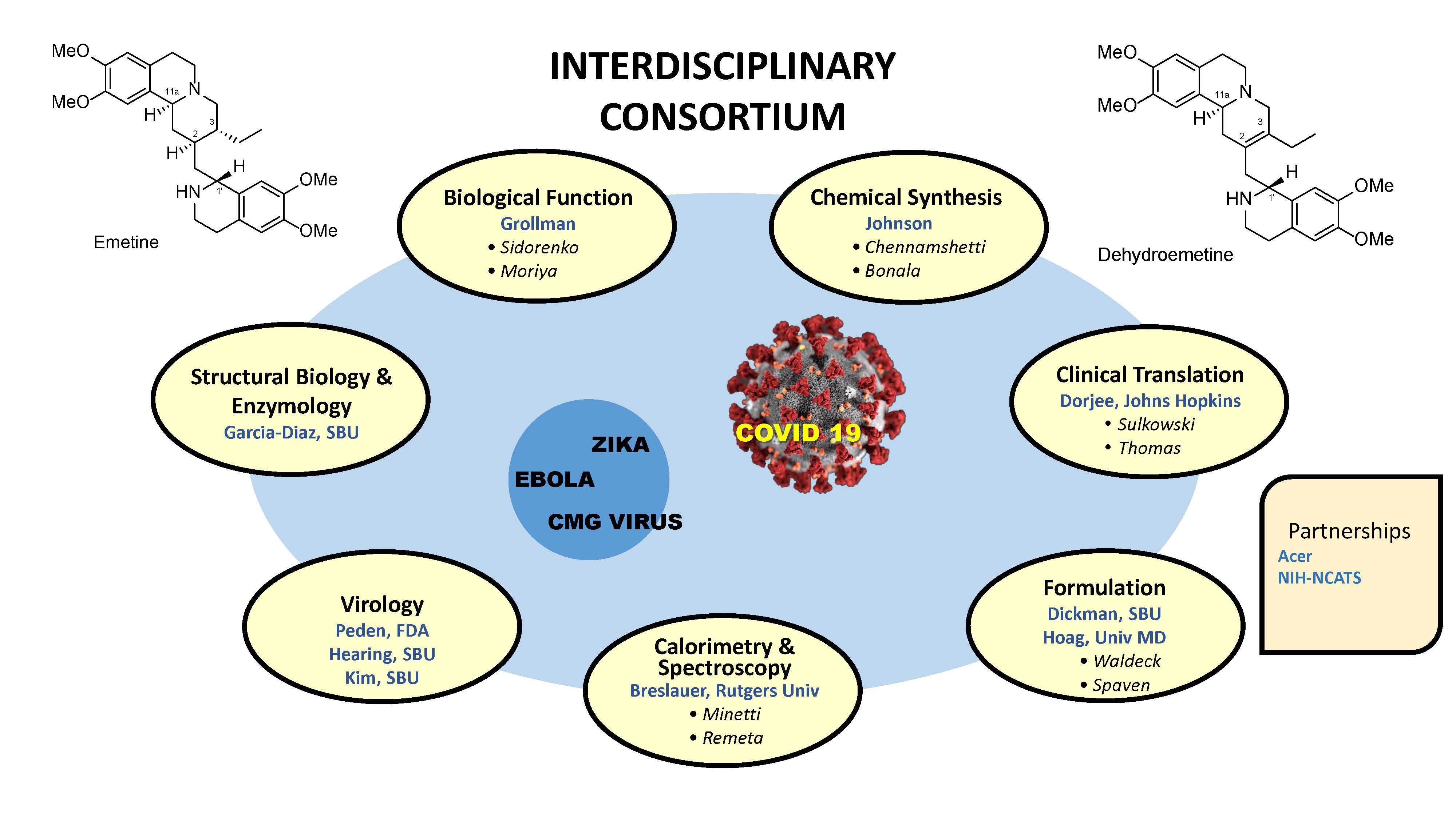 diagram of interdisciplinary consortium