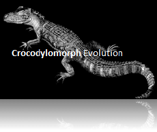  Crocodylomorph Evolution Hyperlink button