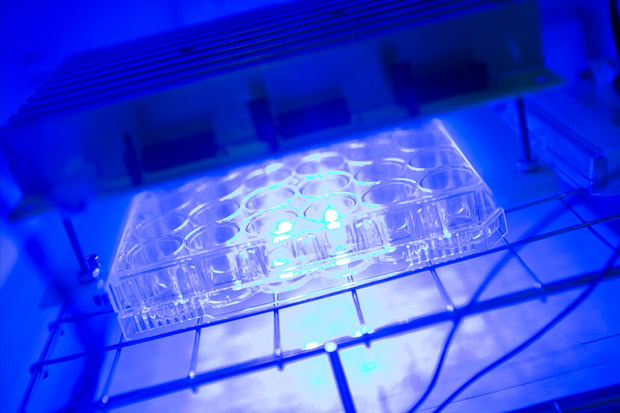 Test tube rack in temperature controlled environment