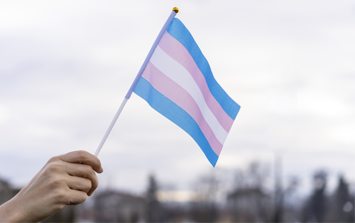 Transgender Awareness and Experiences in Health Care