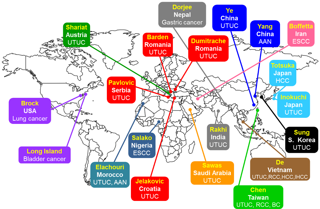 Global studies of aristolochic acid and other environmental carcinogens