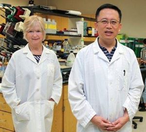 Dr Huo and Dr. Caldwell