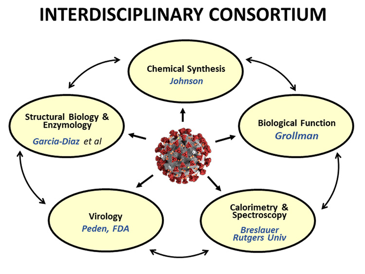 diagram of interdisciplinary consortium