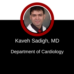 Kaveh Sadigh