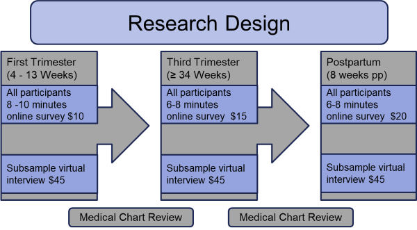 PHEED Research Graph