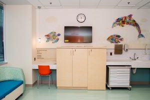 Single patient room showing storage and television