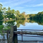 Pond Image