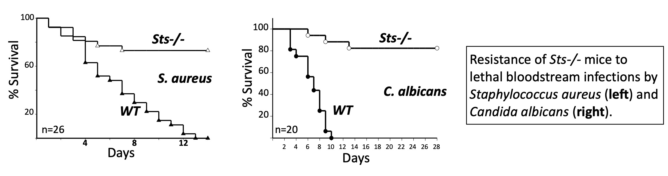 Graph of Resistance to Sts-/- mice to lethal bloodstream infections by Staphylococcus aureus (left) and Candida albicans (right).
