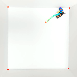 DeepLabCut of a Mouse in an Open Field Test DeepLabCut of a Mouse in an Open Field Test