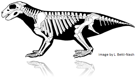  Simosuchus clarki illustration