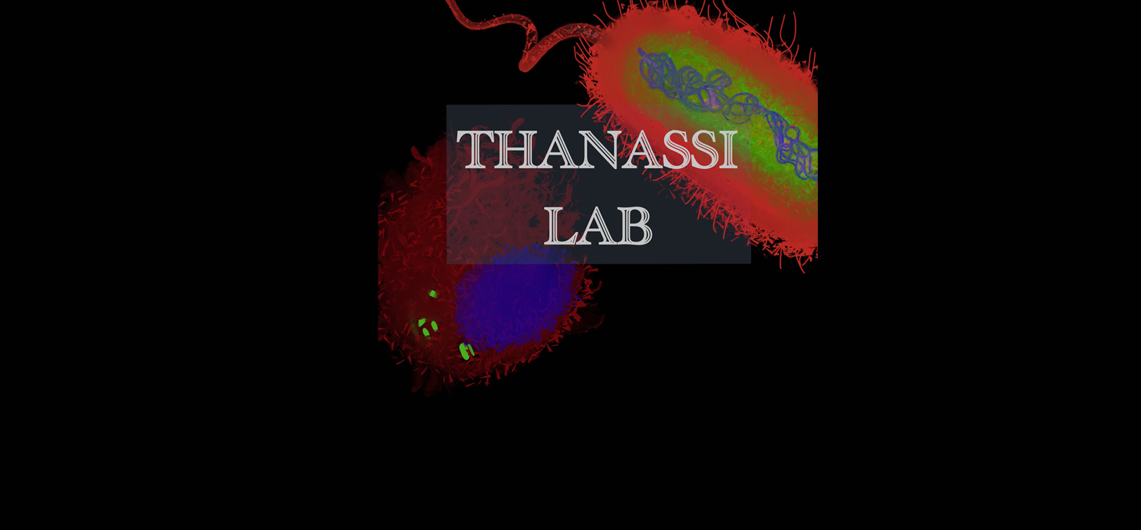 Thanassi Lab