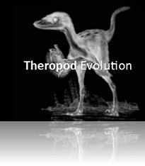 Theropod Evolution