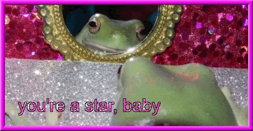 You're a Star Frog