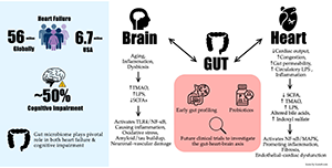 Heart Failure and Cognitive Impairment Through the Lens of the Gut Microbiome: A Narrative Review