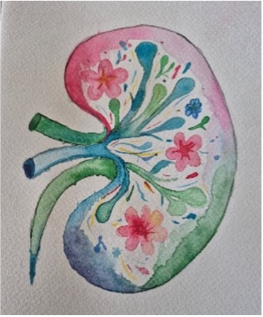 kidney art 1