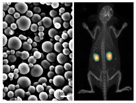 mnp figure - Xray and microscopic