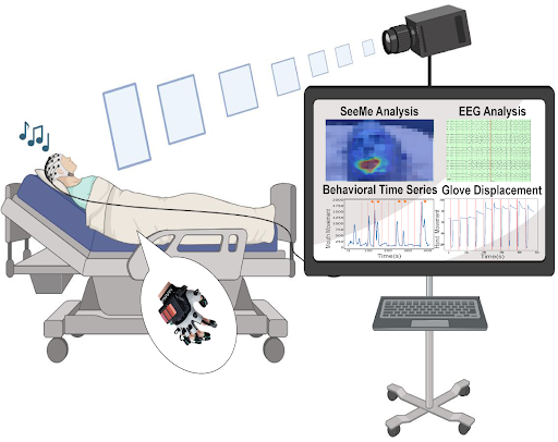 Detecting Recovery of Consciousness